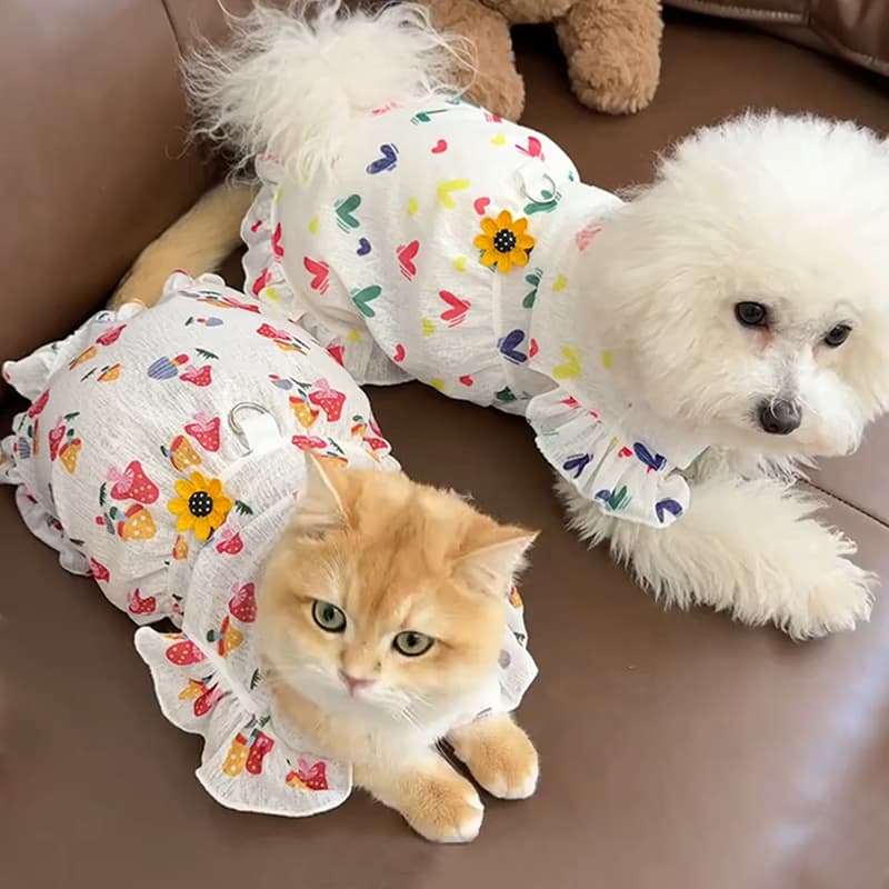 猫服  きのこ模様のフリルワンピース