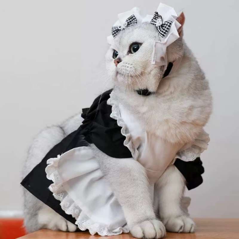 猫服  コスプレ | メイド風フリルワンピース
