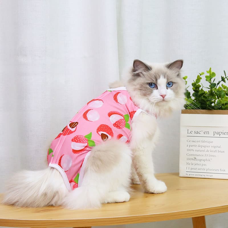 猫服洋服 手術後ケア用猫ちゃん保護術後ウェア四種柄セット