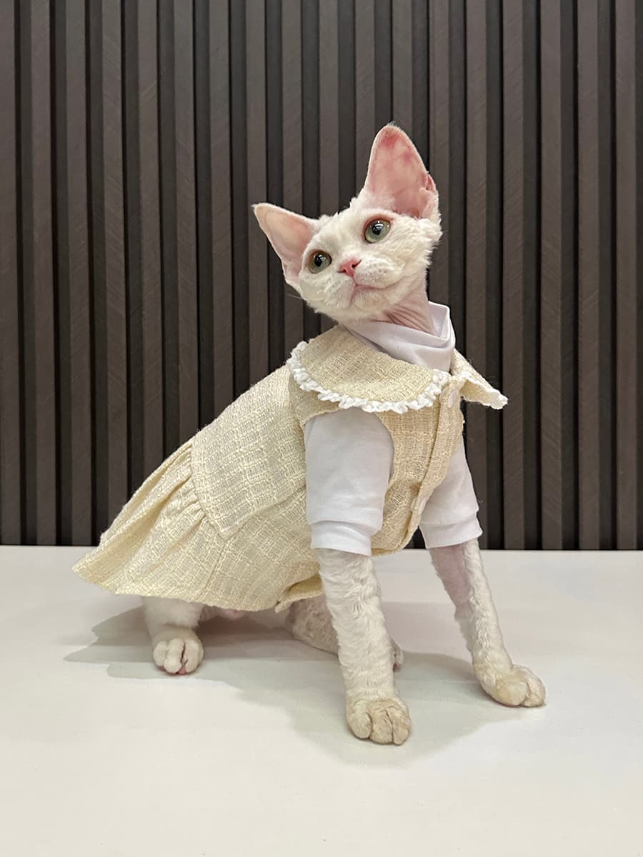 猫服  洋服 | うさぎの耳フリルワンピース