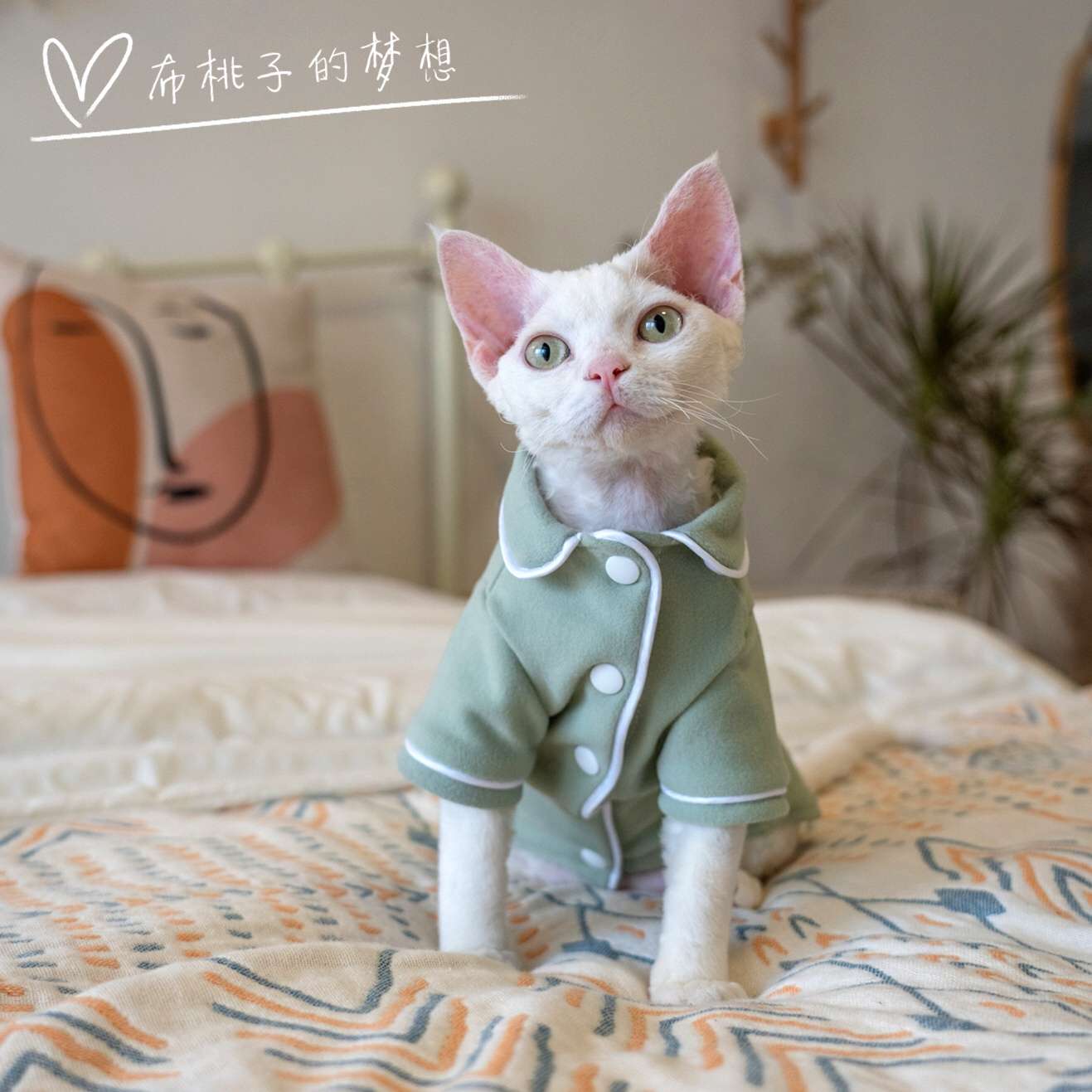 猫服  防寒服 | もふもふ猫ちゃんのおうち着