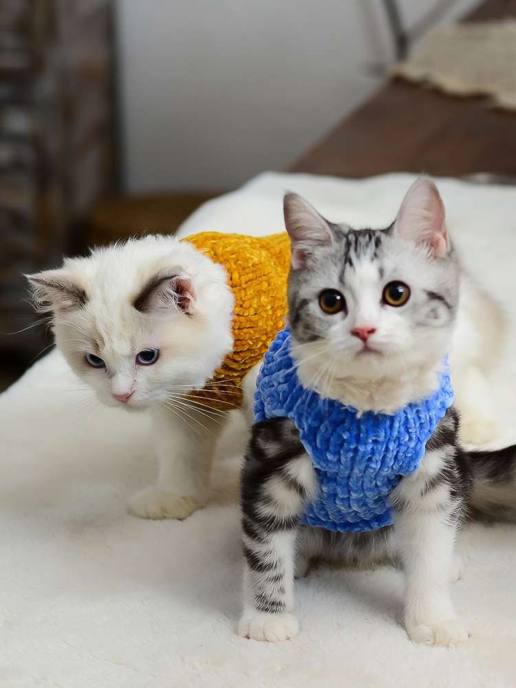 猫服  防寒服 | もこもこ猫ちゃんウォーマー