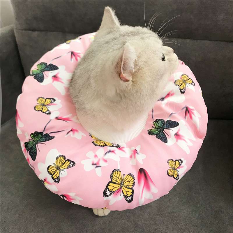 猫服 猫 エリザベスカラー | 猫用かわいいイラスト柄エリザベスカラー