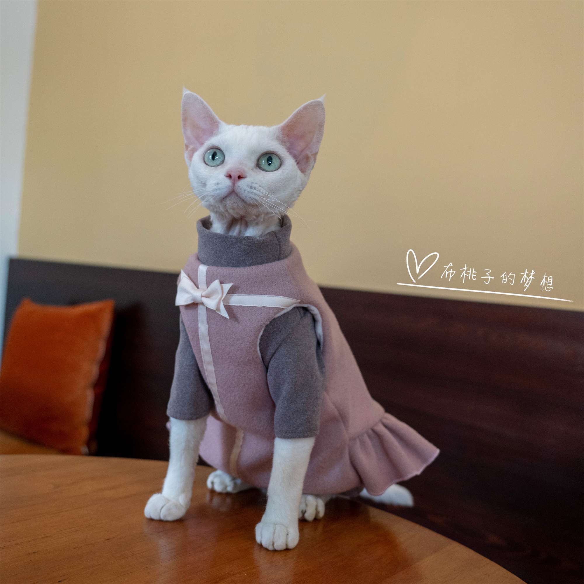 猫服  洋服 | ふわもこ猫ちゃんドレスコート