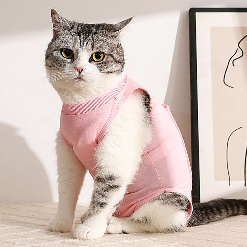 猫服  術後服 | 猫用ソフト術後服 オールインワン