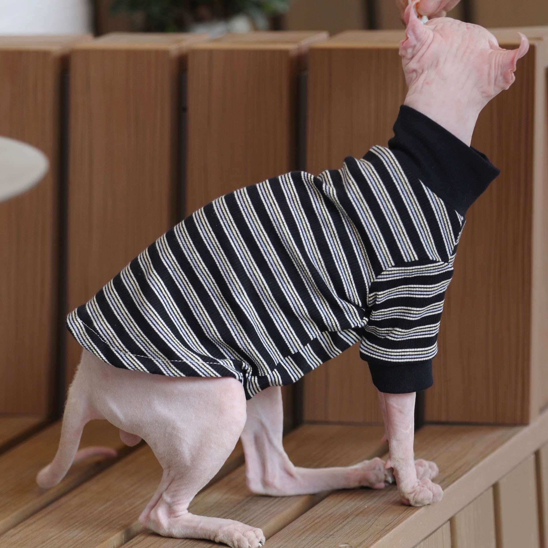 猫服  防寒服 | シャープボーダーの猫用セーター