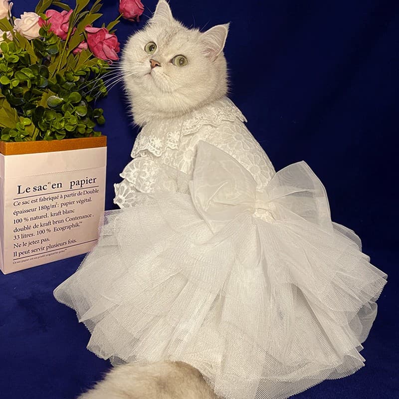 猫服  レース付きチュールドレス