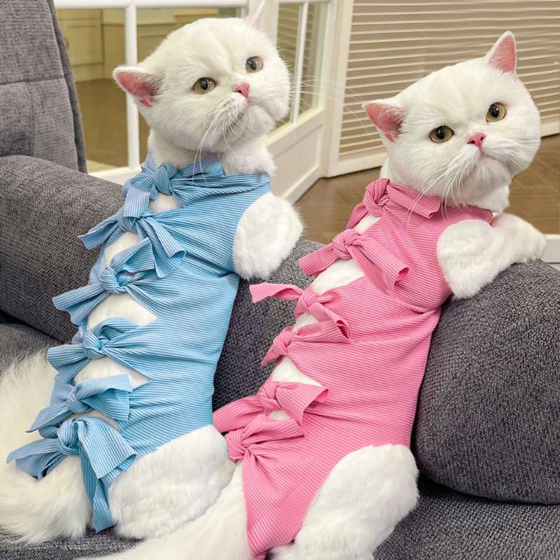 猫服  術後服 | リボンデザイン猫用術後服