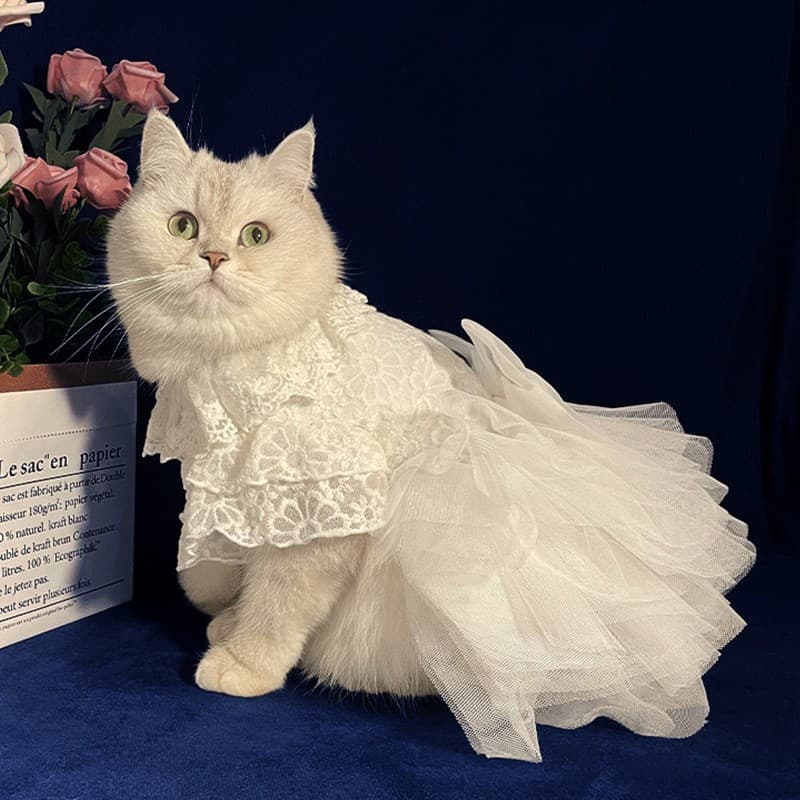猫服  レース付きチュールドレス