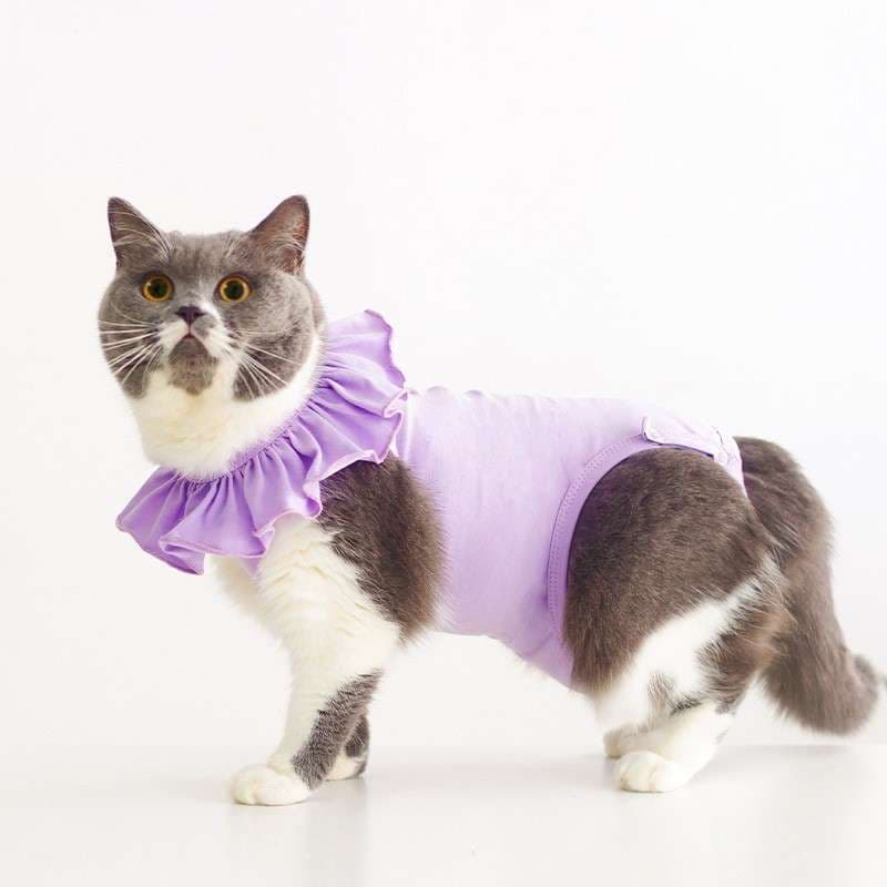 猫服  術後服 | ふんわりフリル付き猫用術後服