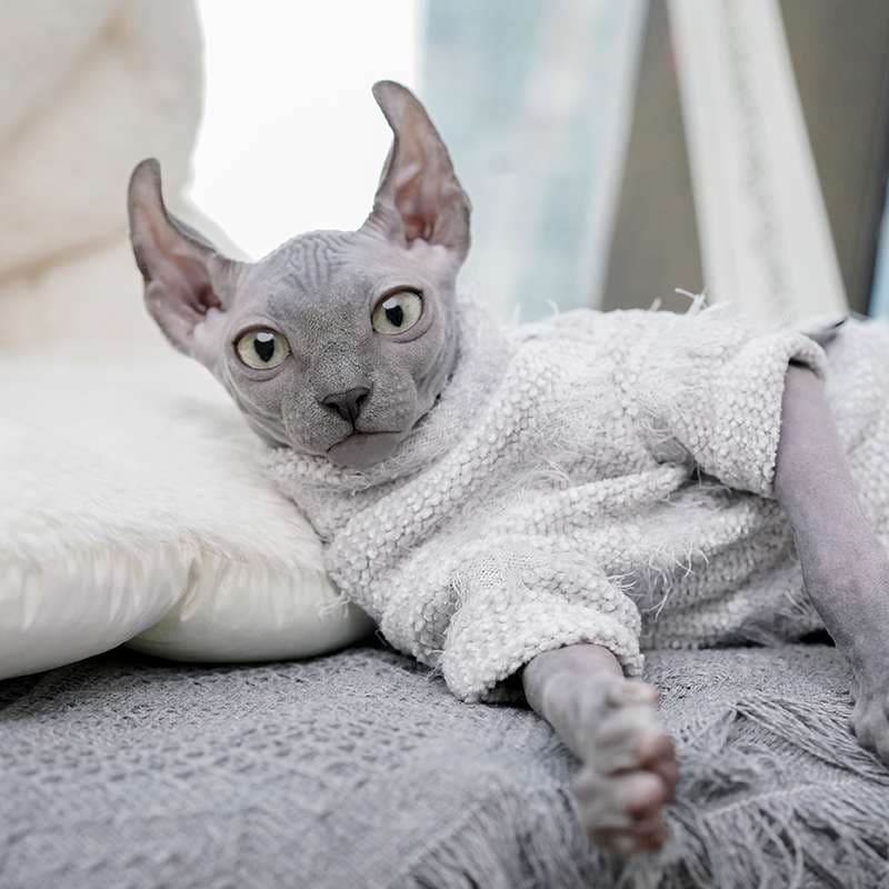 猫服  スフィンクス | もこもこシャツで暖かスフィンクス