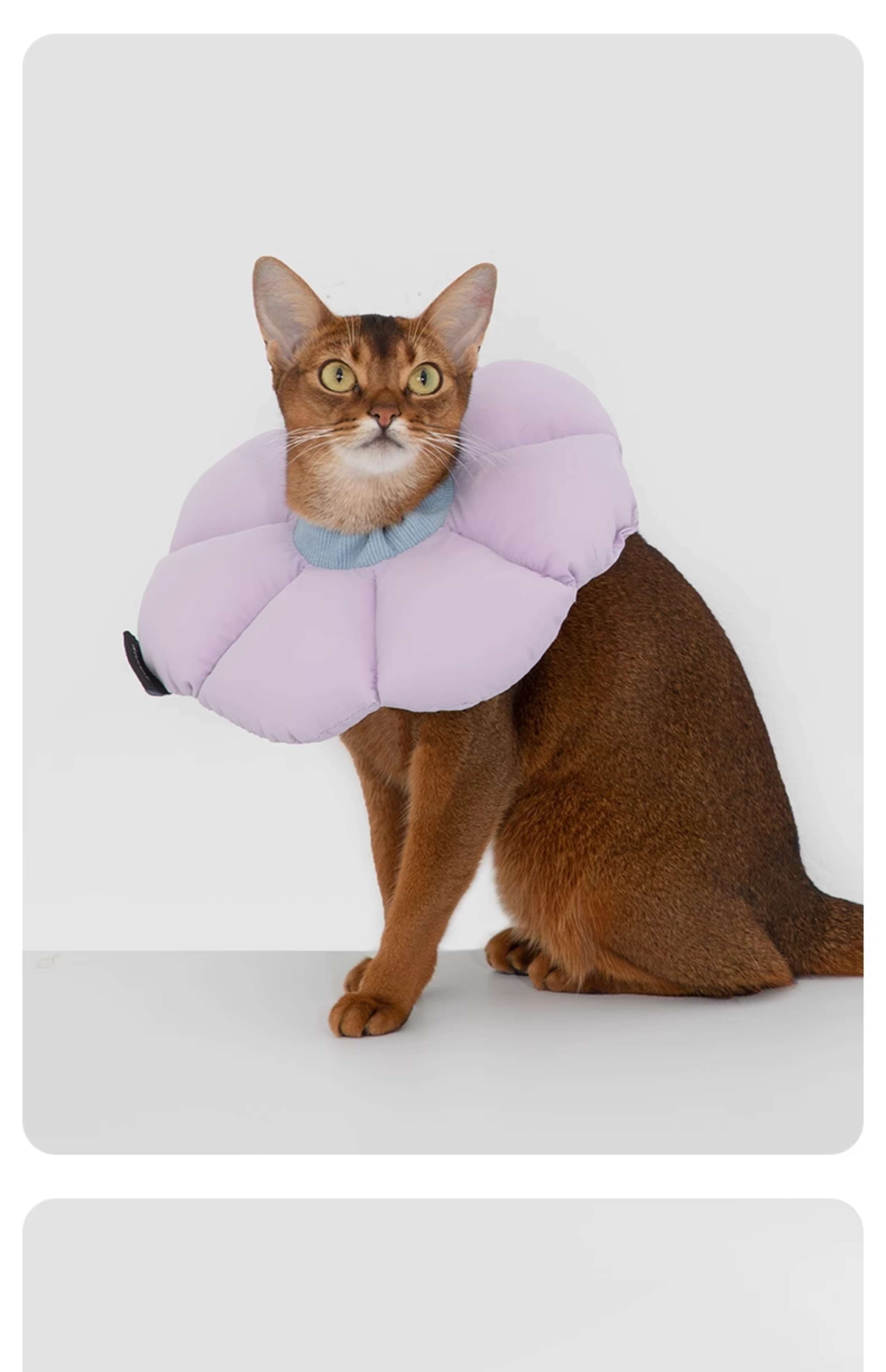 猫服 猫 エリザベスカラー | ふわもこ花びらエリザベスカラー