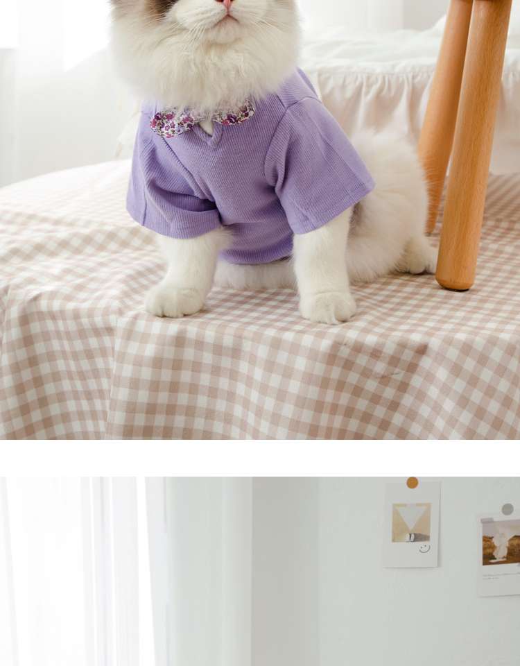 猫服  洋服 | ふわもこ猫ちゃんの季節のお洒落トップス