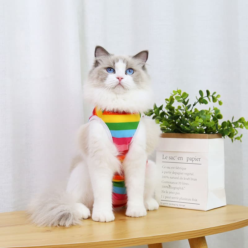 猫服洋服 手術後ケア用猫ちゃん保護術後ウェア四種柄セット