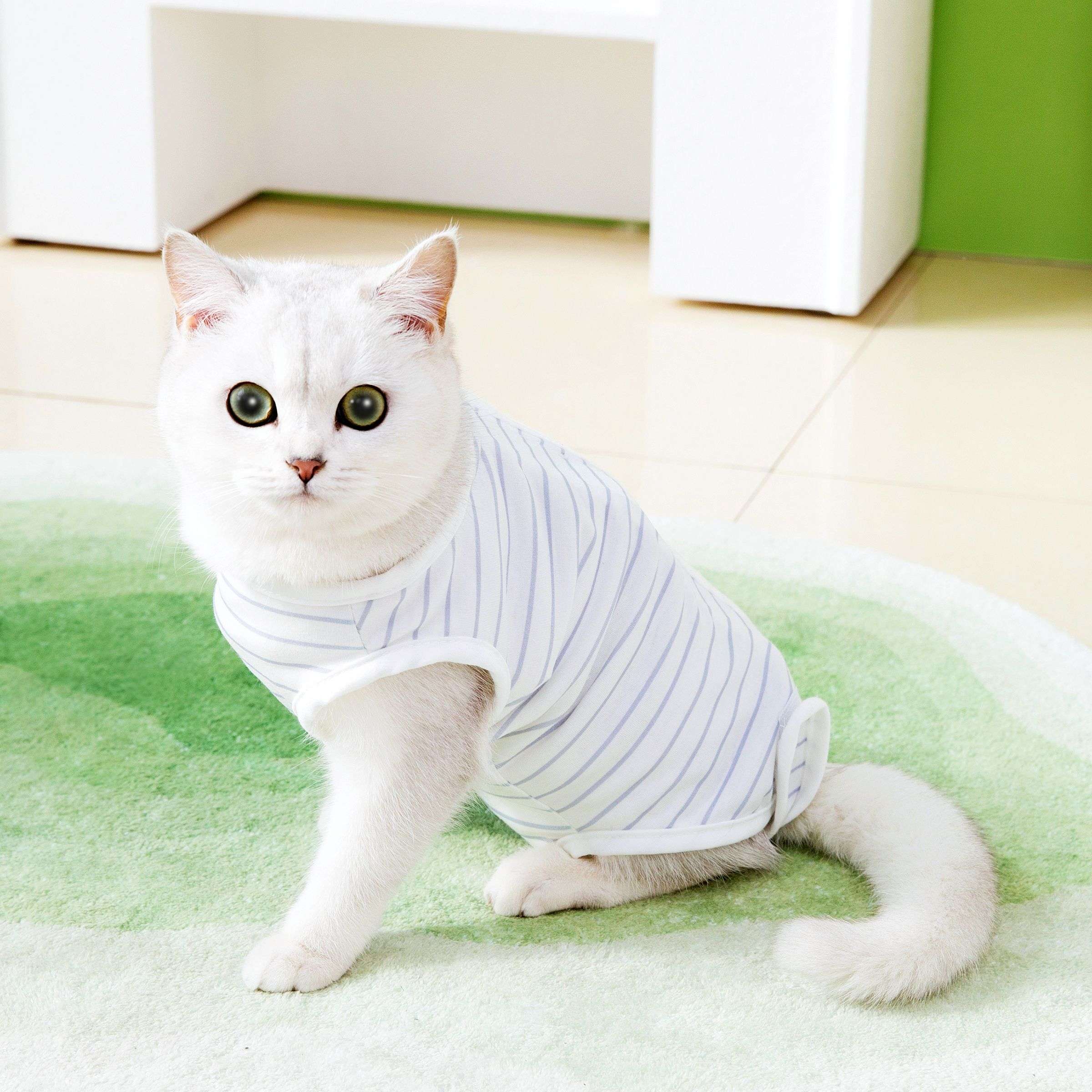猫服  術後服 | もふもふ猫ちゃんの優しい術後ウェア