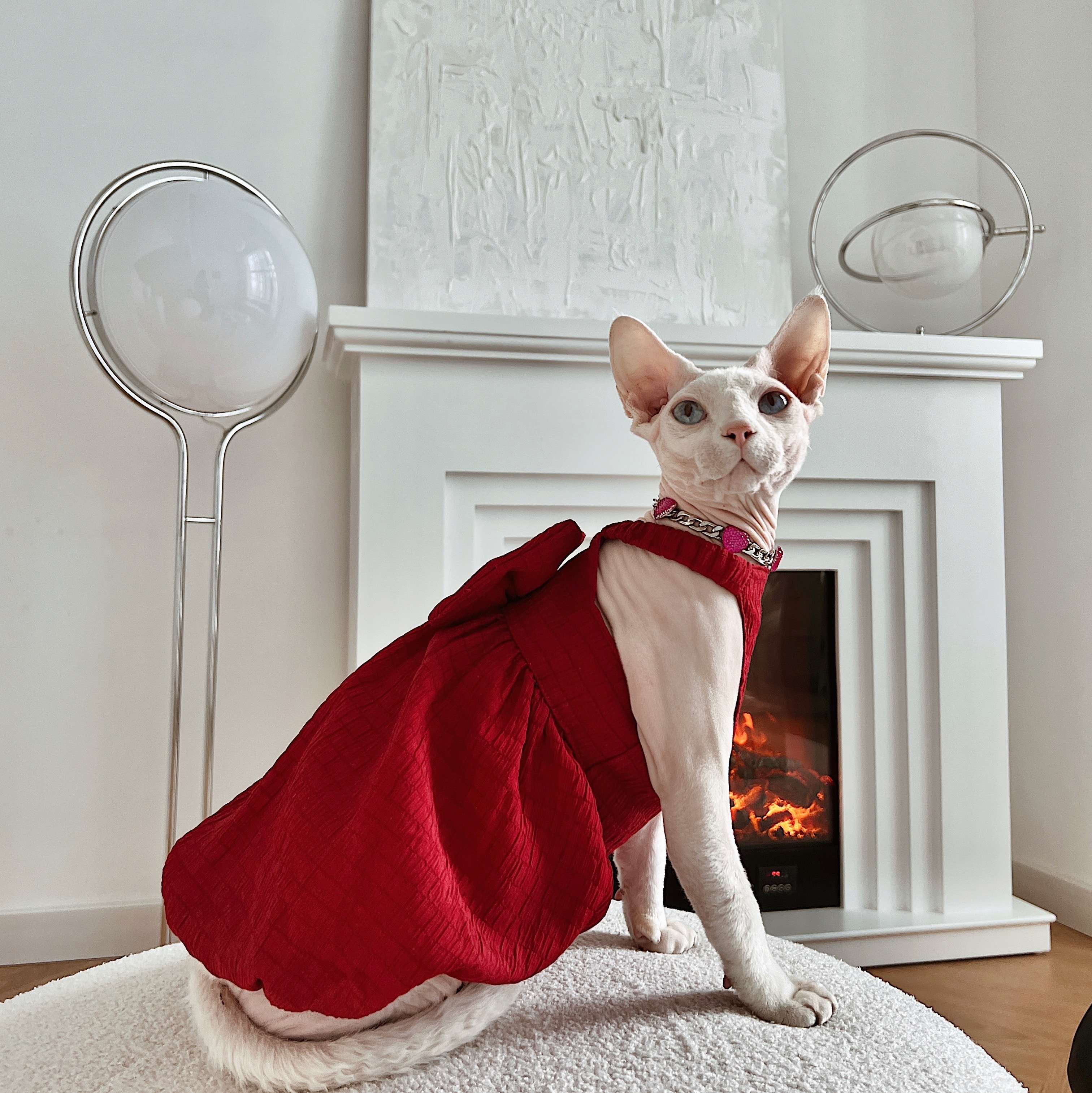 猫服  スフィンクス | スフィンクスの優雅な赤いドレス