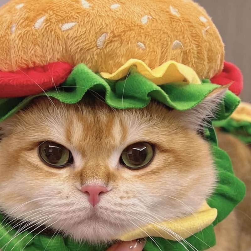 猫服  帽子 | ねこちゃん用ハンバーガーコスプレ