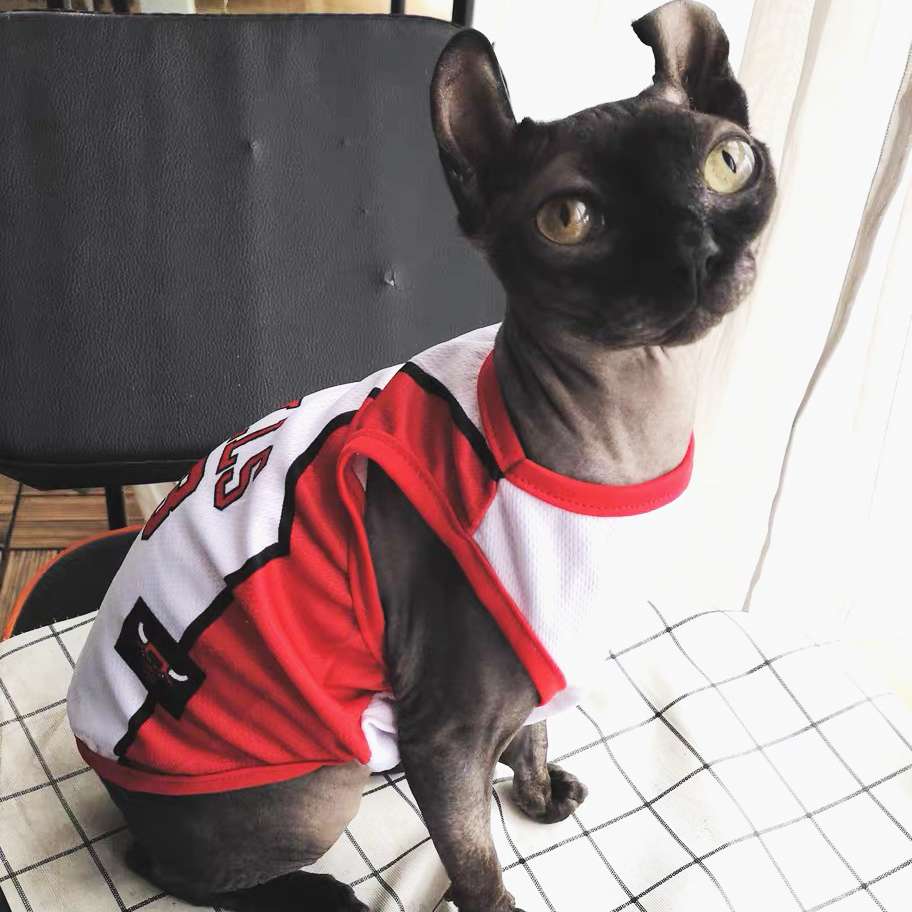 猫服  術後服 | スポーツチーム風ペット術後服