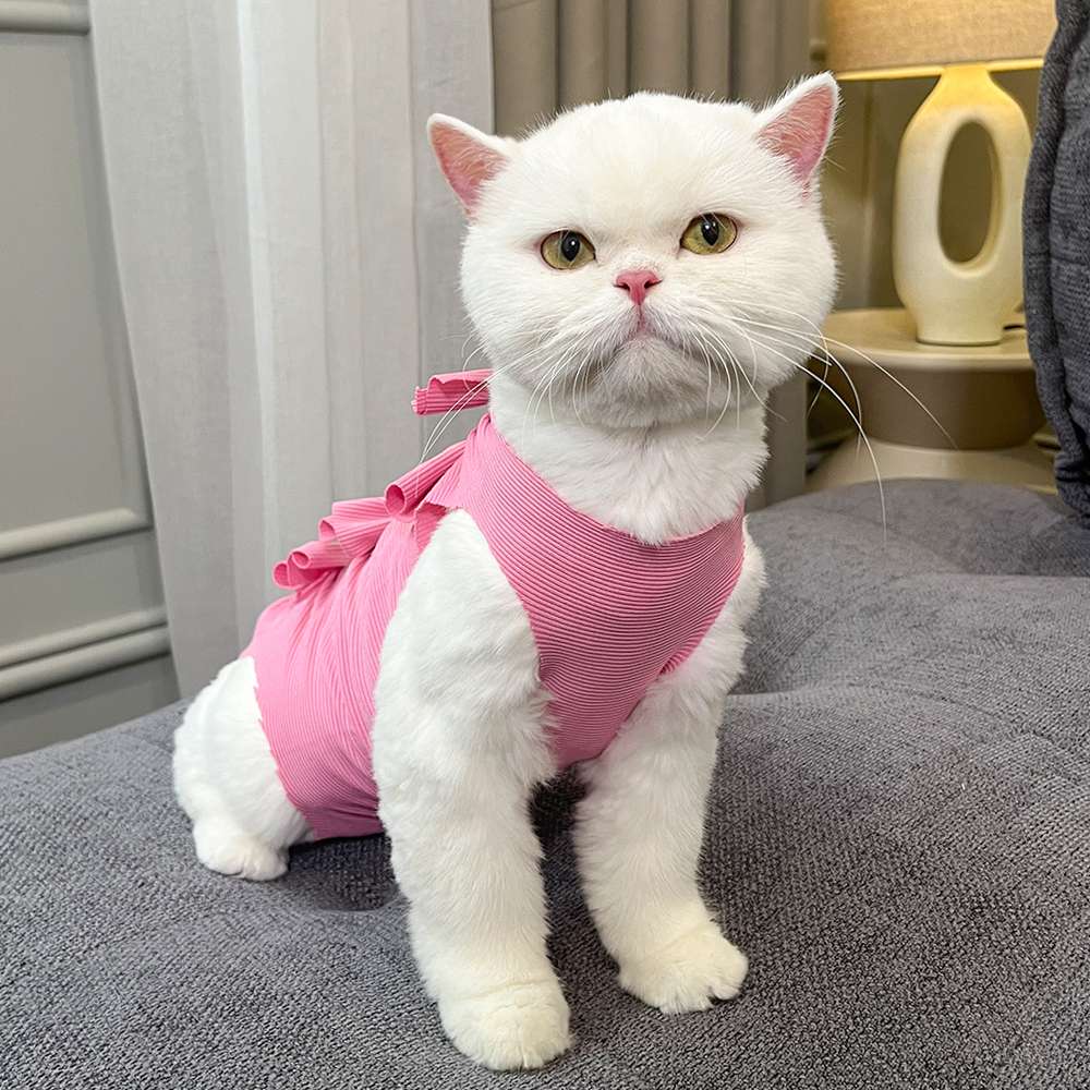 猫服  術後服 | もふもふ猫ちゃんの癒しリボン術後服