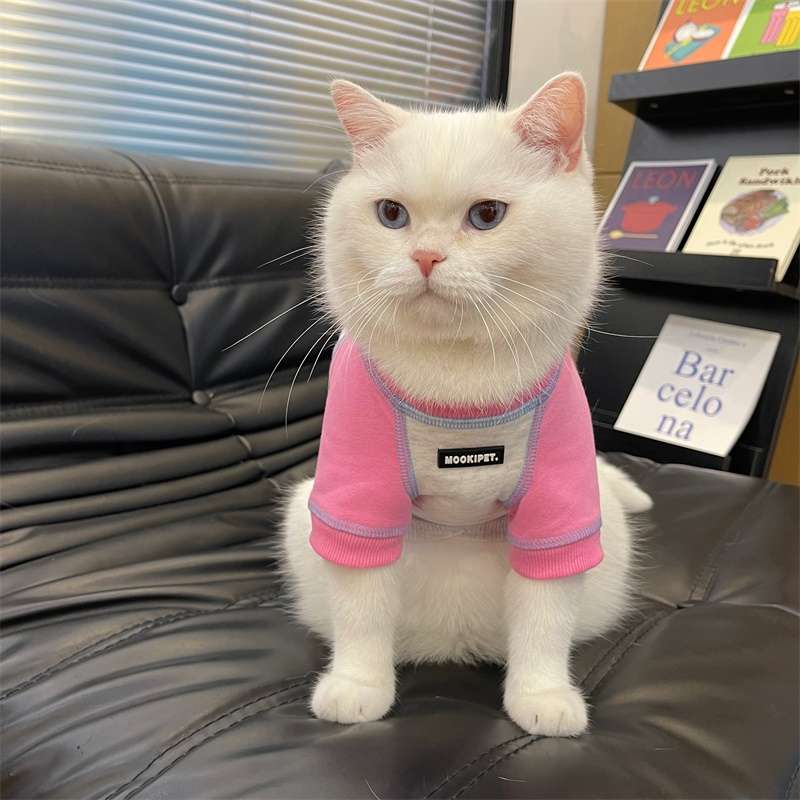 猫服  洋服 | ペット用おしゃれカジュアルウェア3点セット