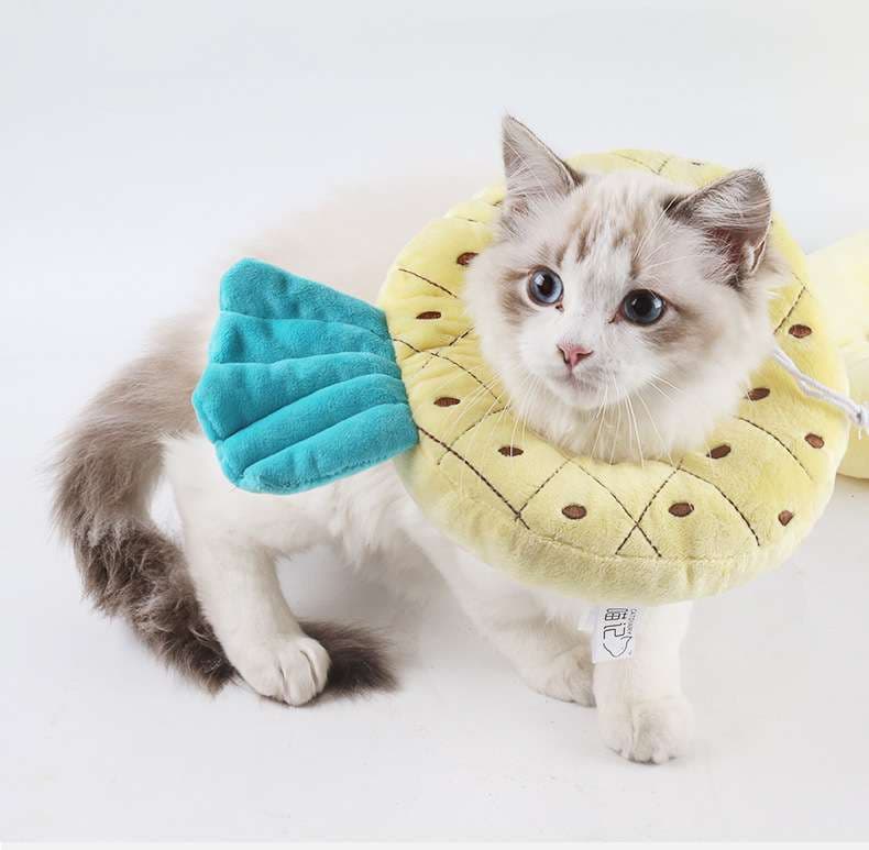 猫服 猫 エリザベスカラー | フルーツ風エリザベスカラー