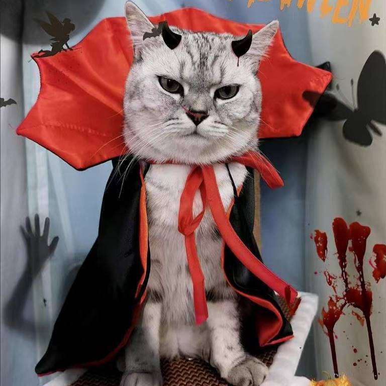 猫服  コスプレ | 吸血鬼風ペット用ハロウィン衣装