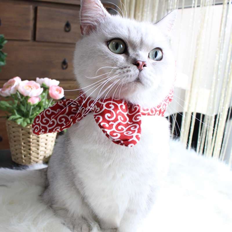 猫服  帽子 | 和風モダン猫用バンダナキャップ