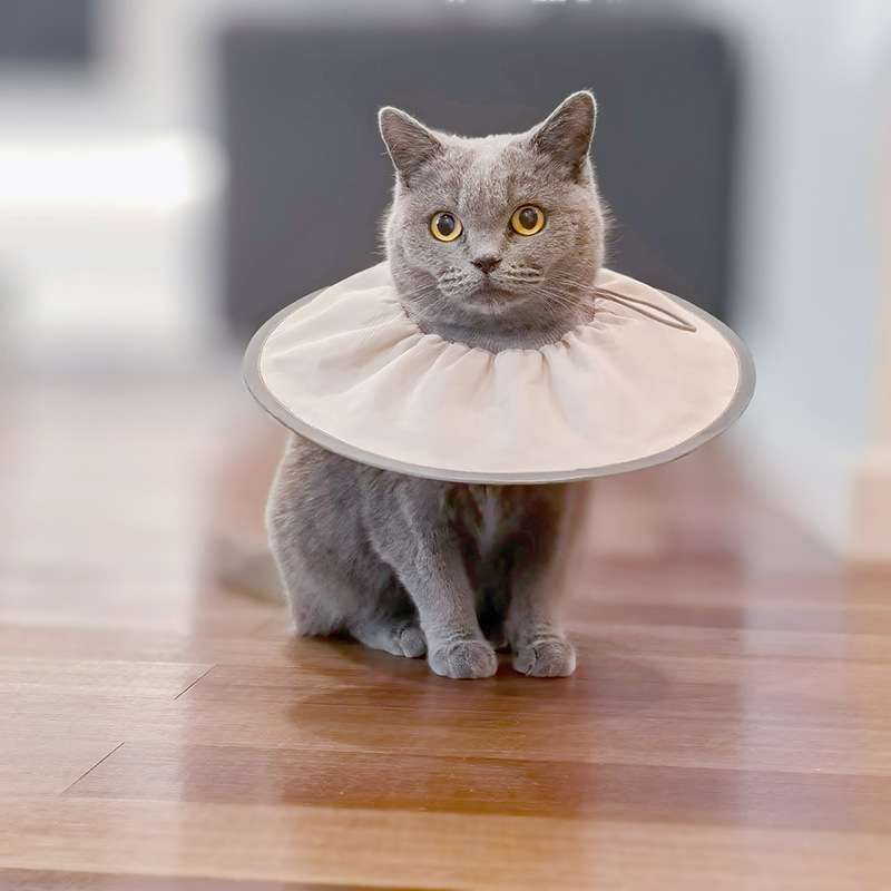 猫服 猫 エリザベスカラー | ふわもこペット用エリザベスカラー