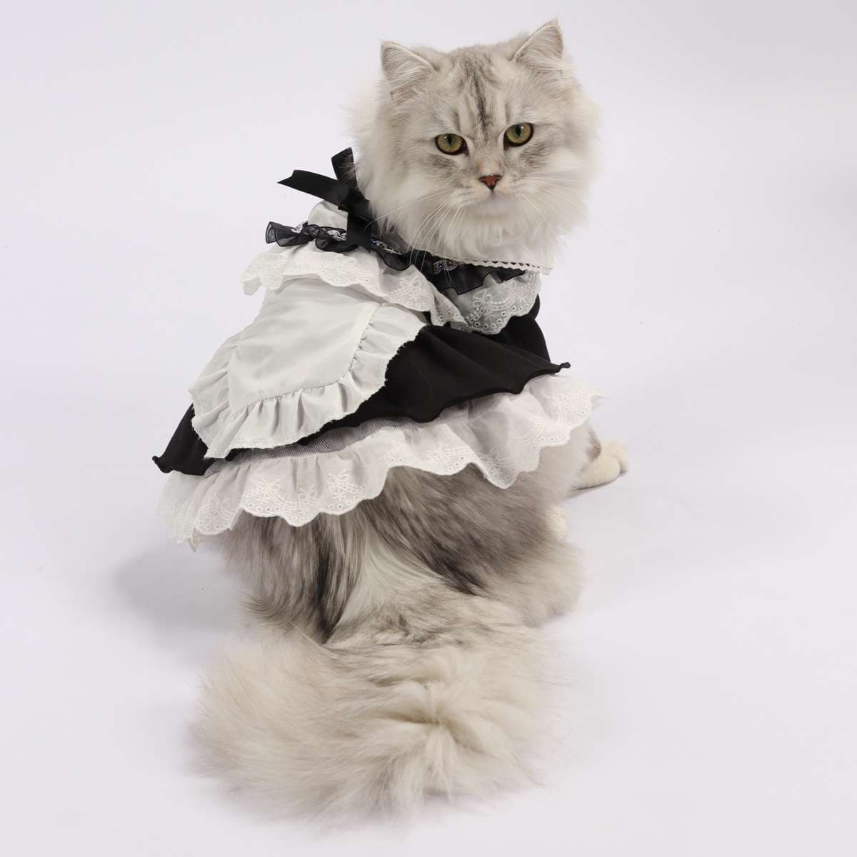 猫服  コスプレ | メイド風フリルワンピース