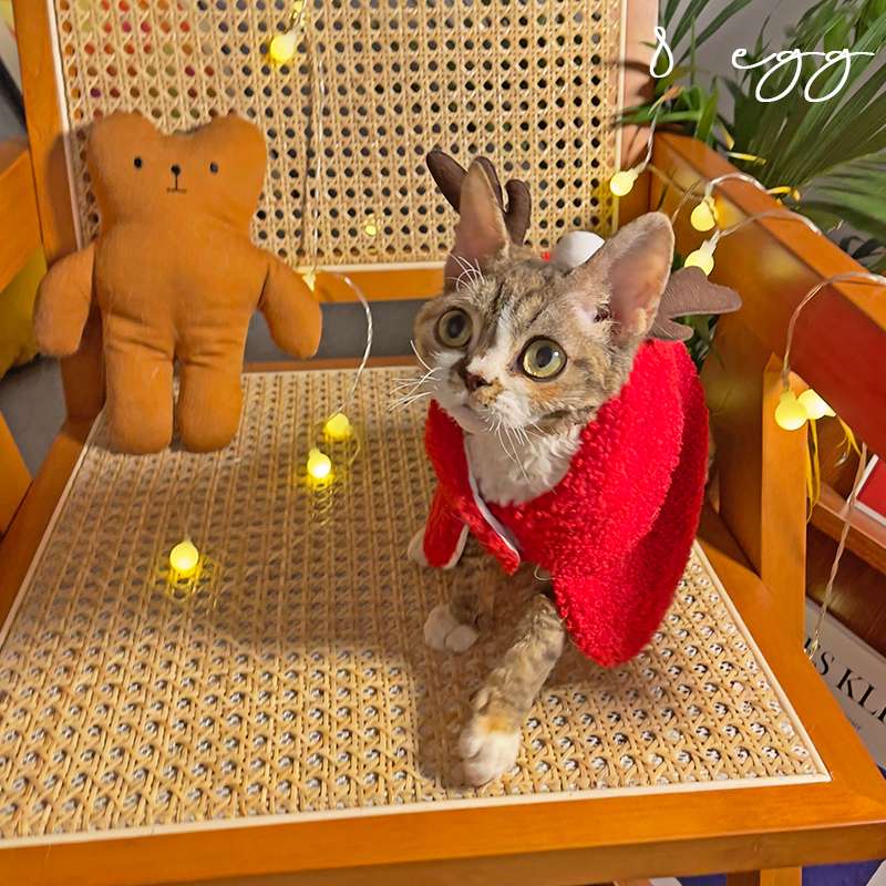 猫服  コスプレ | ペット用ホリデーコスチューム3点セット
