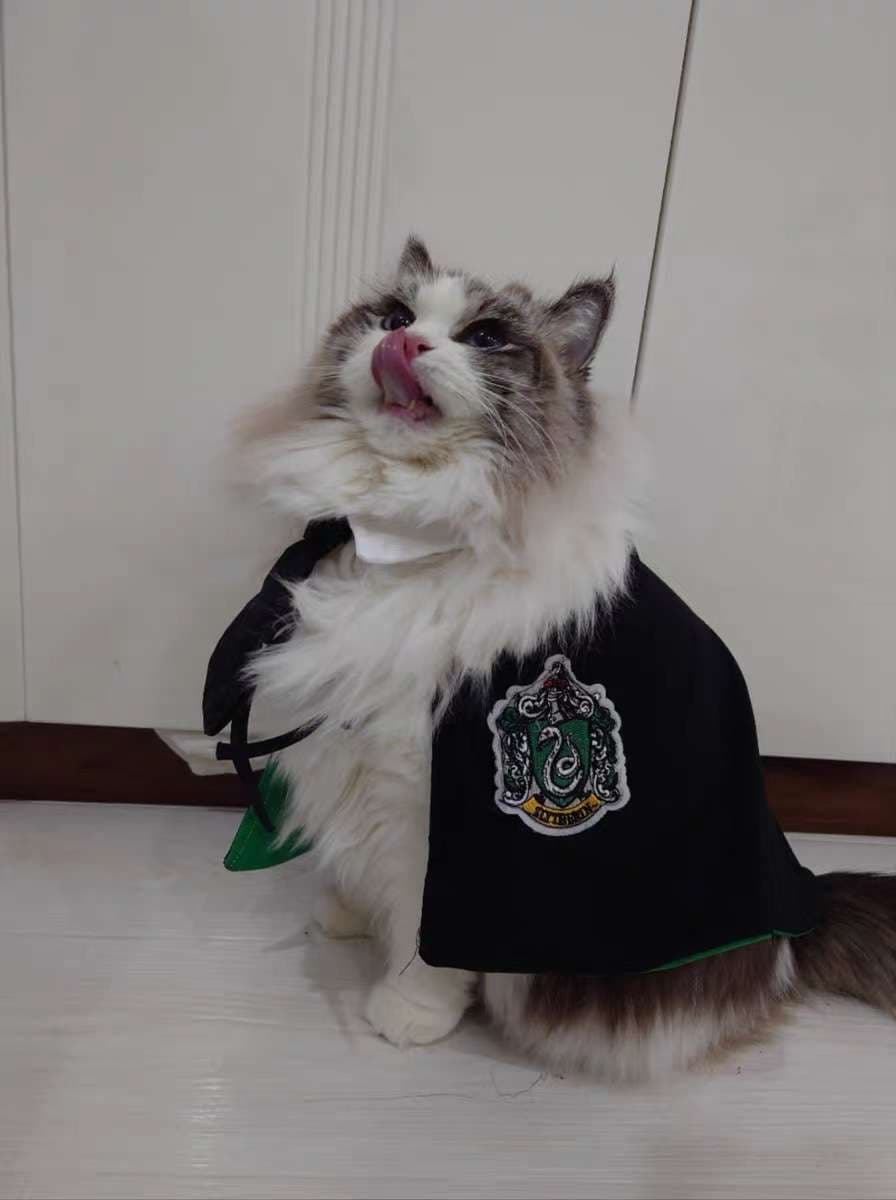 猫服  コスプレ | 魔法学校風 猫用ローブ