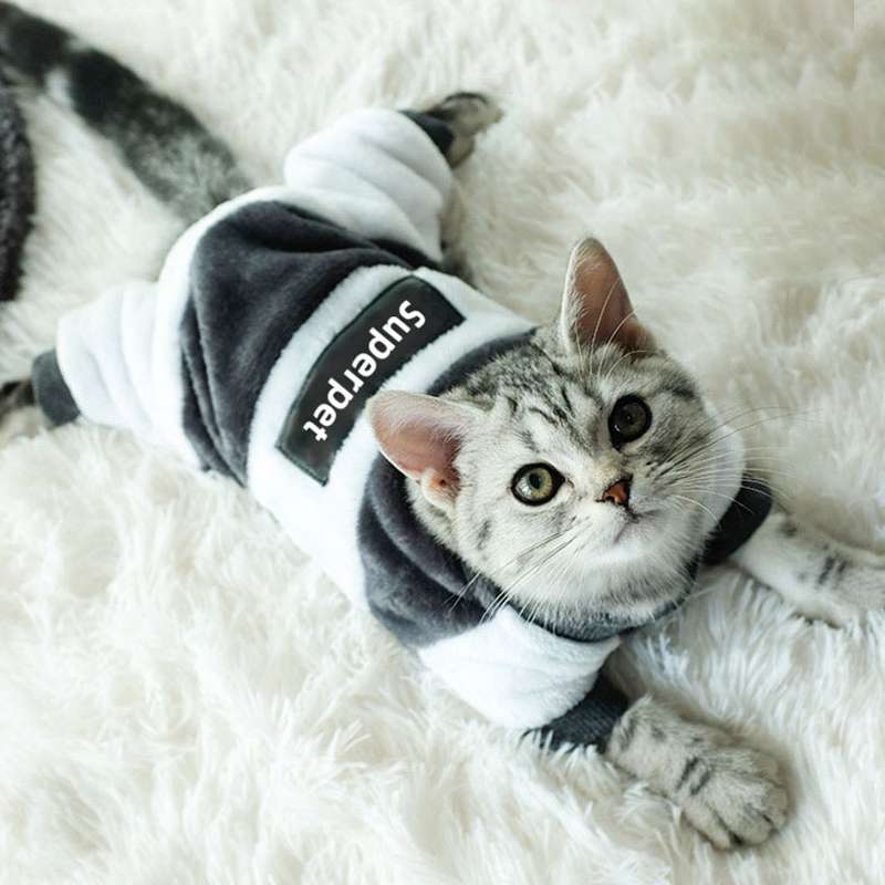 猫服  防寒服 | もふもふ猫ちゃん用防寒パーカー