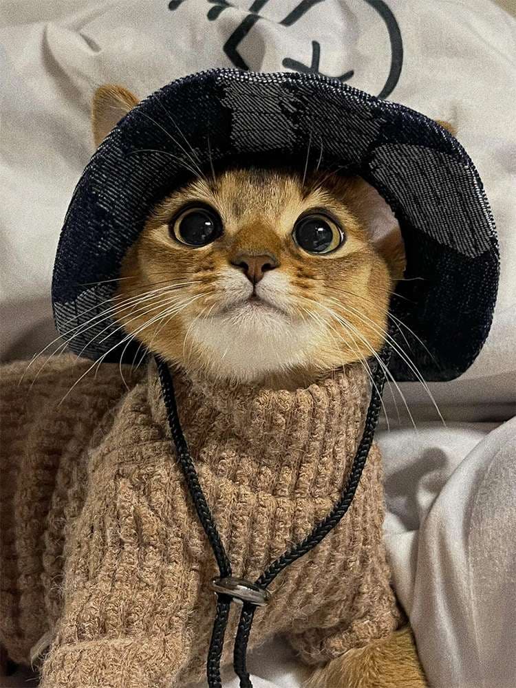猫服  コスプレ | 猫用カウボーイハット&セーターセット