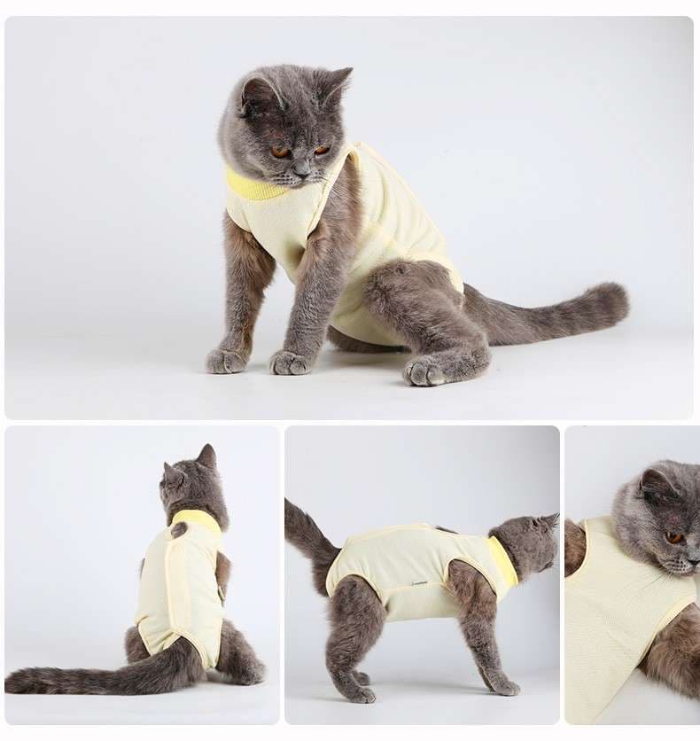 猫服  エリザベスカラー