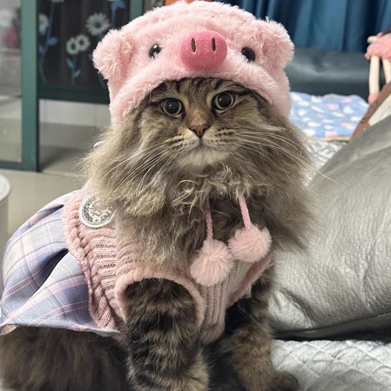 猫服  コスプレ | もこもこブタちゃん猫用コスチューム