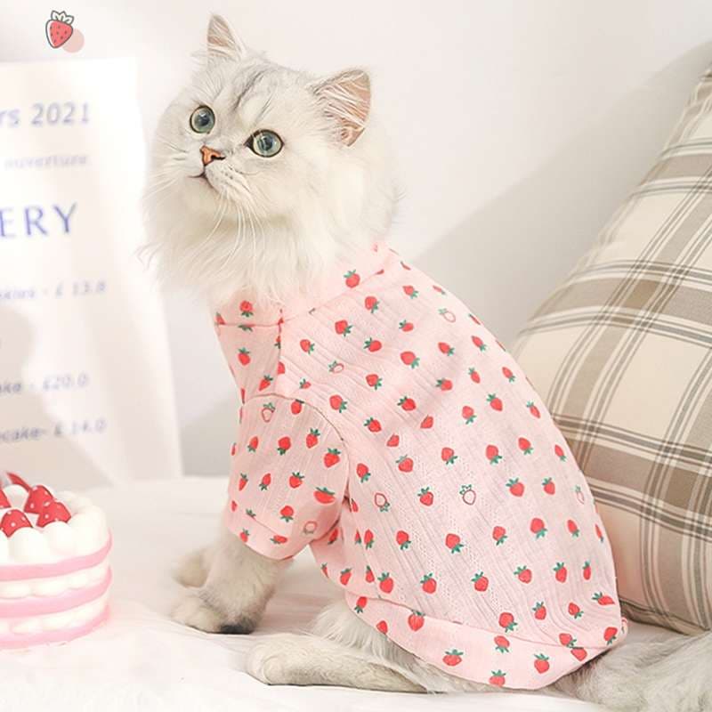 猫服  洋服 | 苺柄猫用パジャマ