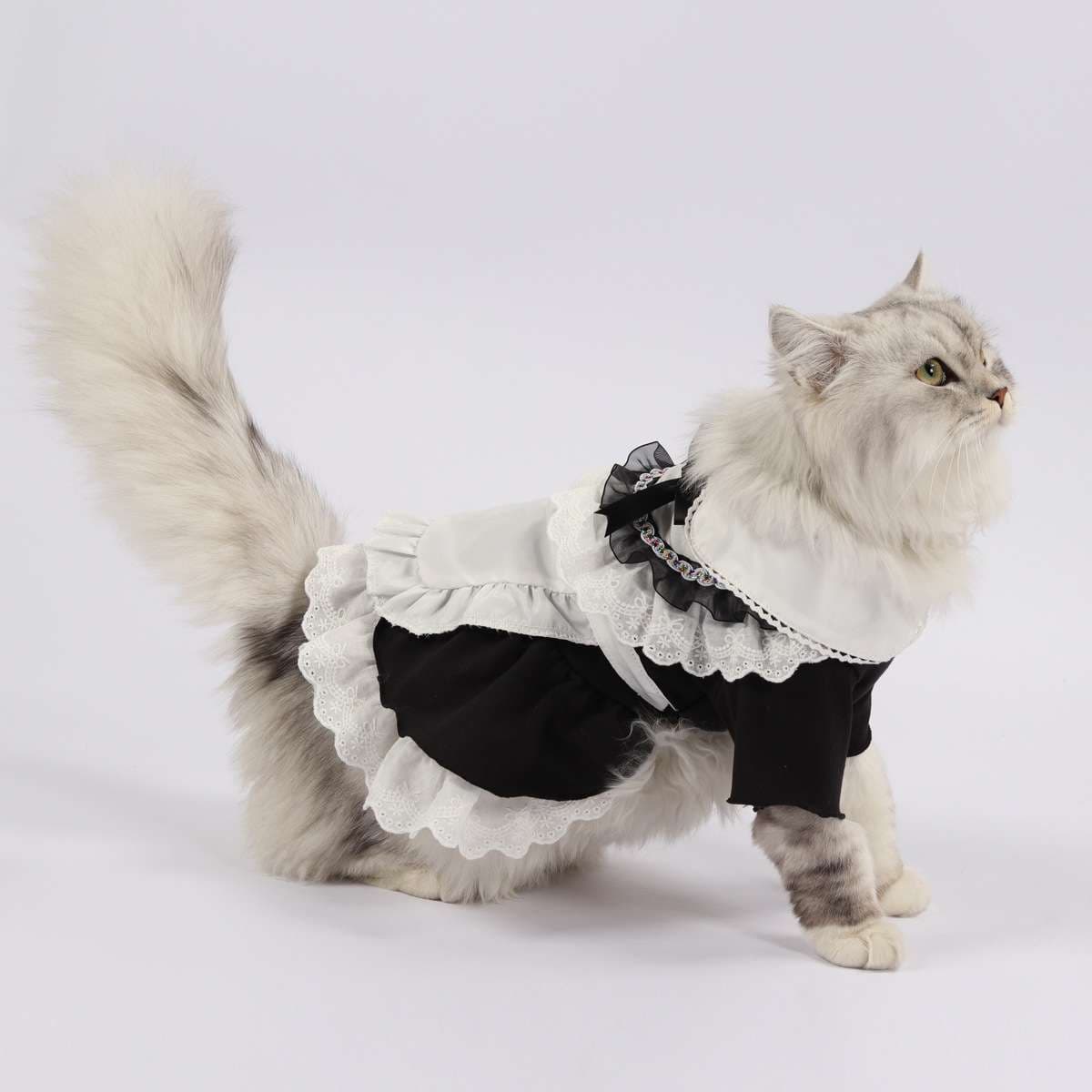 猫服  コスプレ | メイド風フリルワンピース