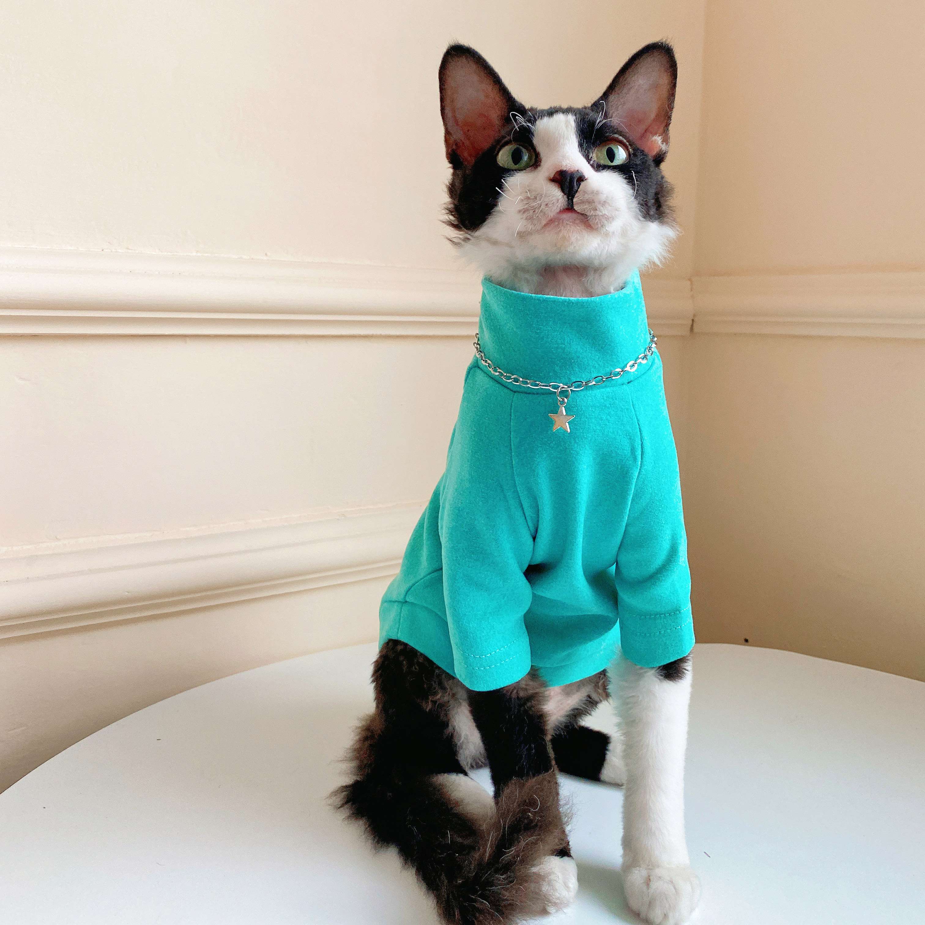 猫服  術後服 | にゃんこの優しい術後ウェア