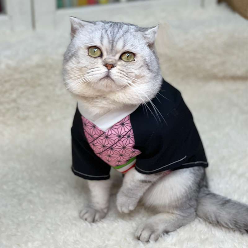 猫服  コスプレ | 忍者猫変身セット 〜和風モダンスタイル〜