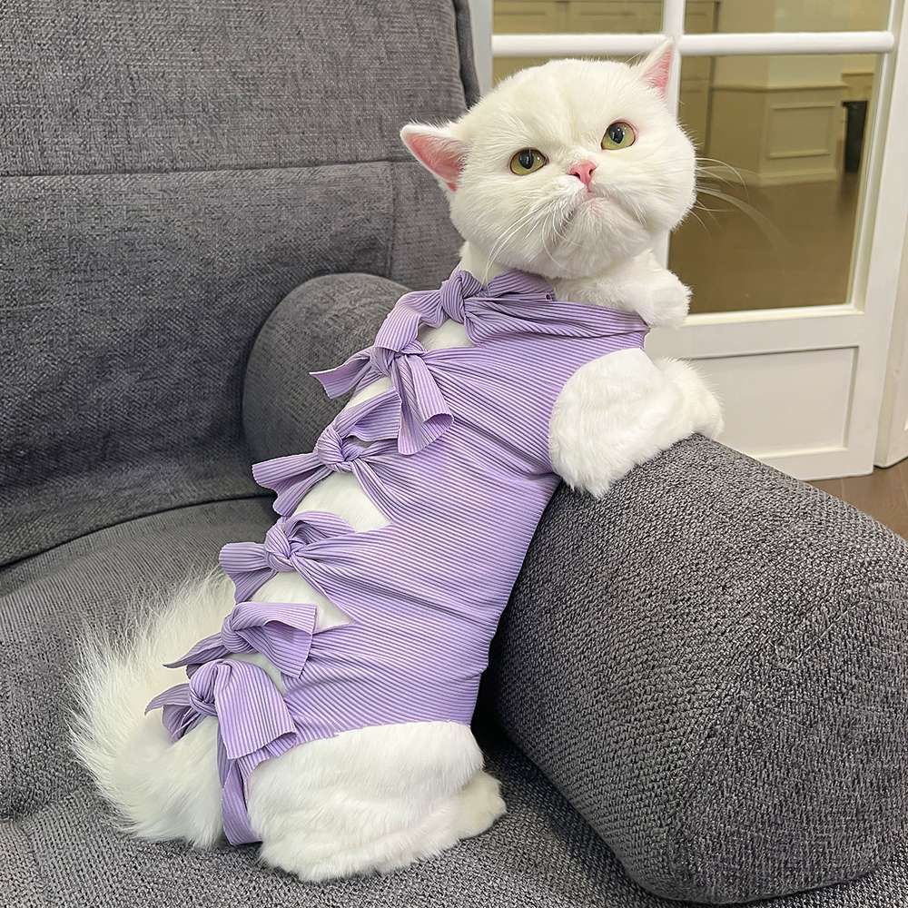 猫服  術後服 | もふもふ猫ちゃんの癒しリボン術後服
