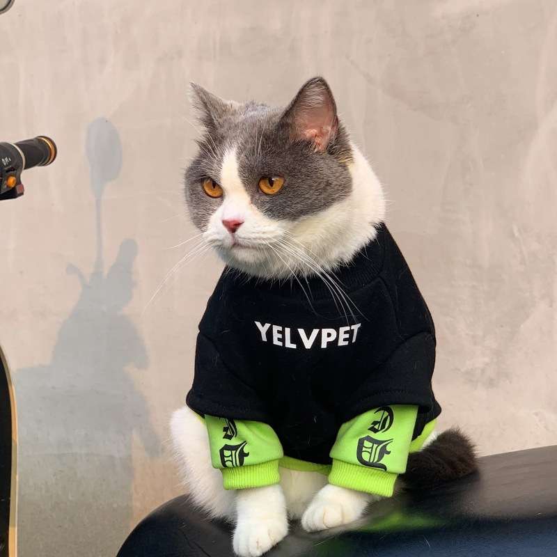 猫服  洋服 | ペット用アスリートスタイルセットアップ