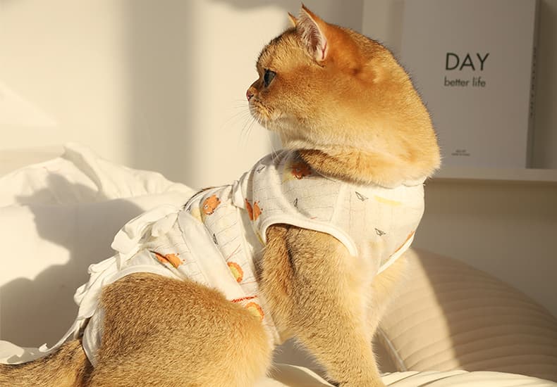 猫服  やさしい包み込み術後ケア服