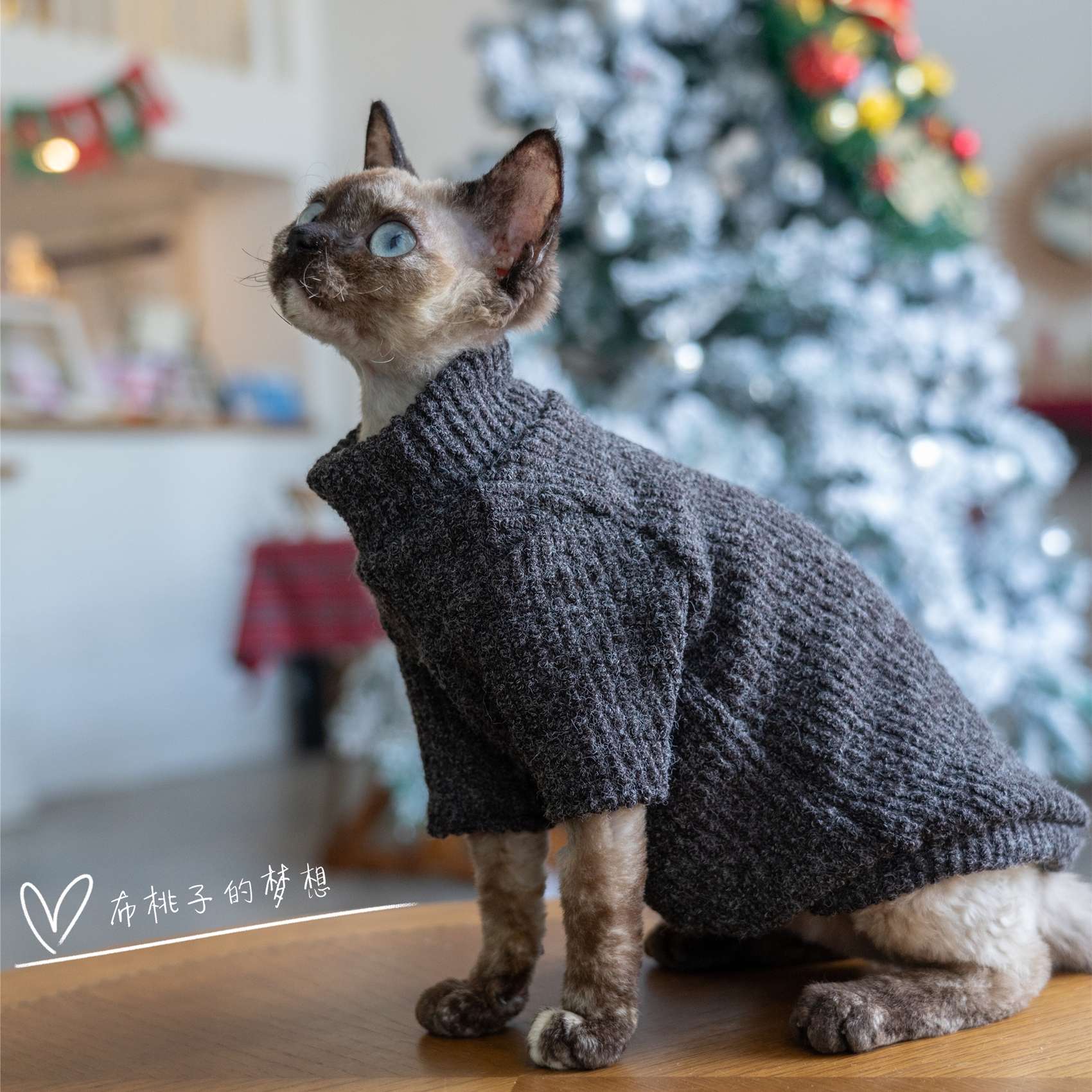 猫服  スフィンクス | スフィンクスの冬暖ニットセーター