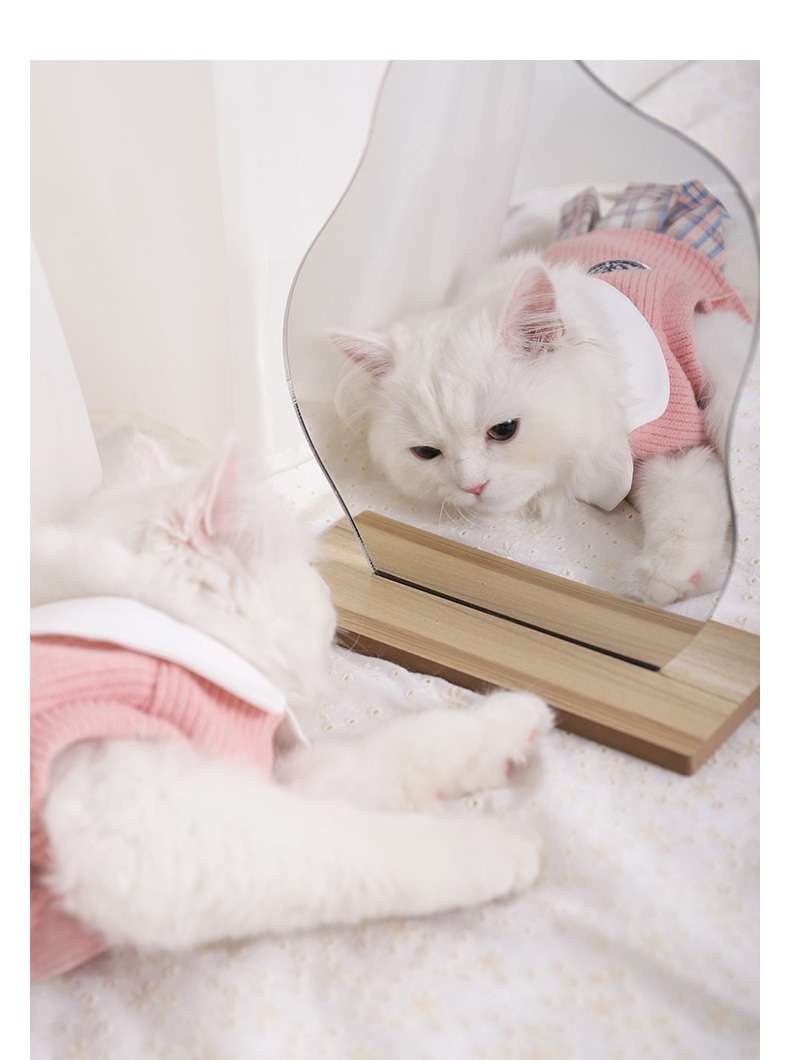 猫服  洋服 | ふんわりチェック柄スカート付き猫用セーター