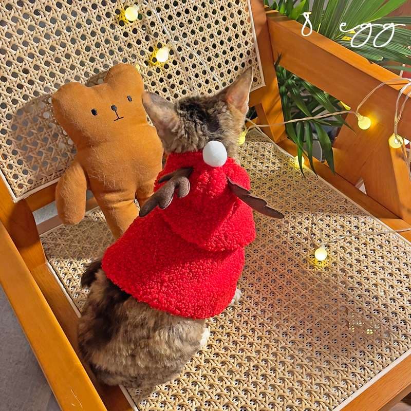 猫服  コスプレ | ペット用ホリデーコスチューム3点セット