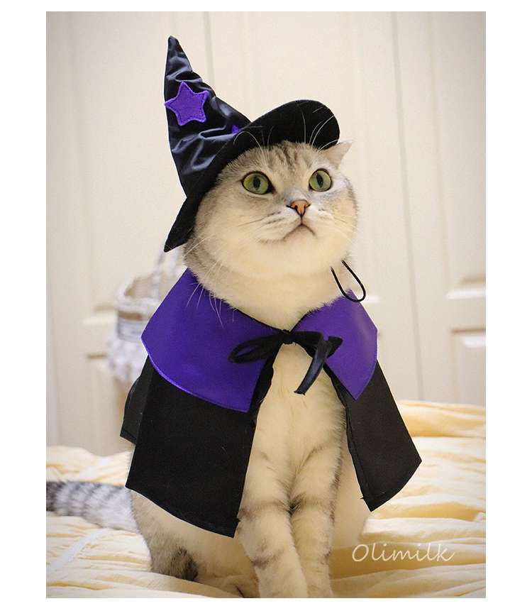 猫服  コスプレ | ハロウィン魔法使い猫コスチュームセット