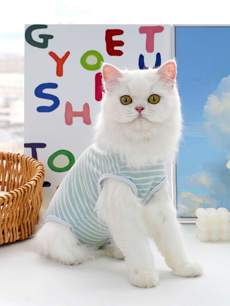 猫服  洋服 | ふわもこ猫ちゃんのストライプシャツ