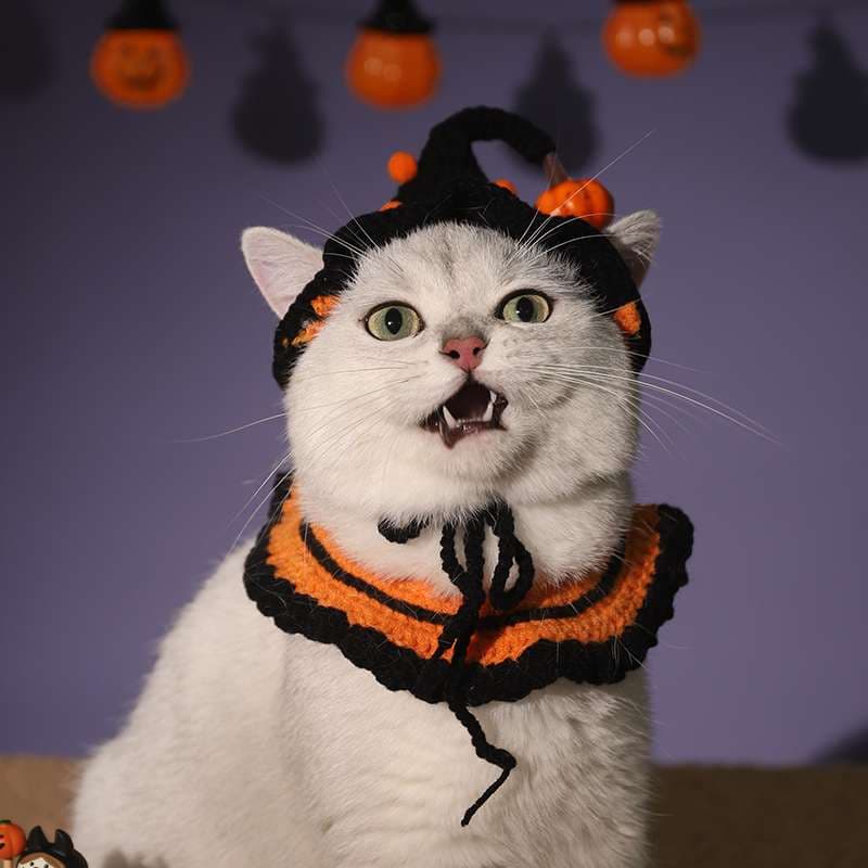 猫服  コスプレ | ハロウィン猫用コスチュームセット