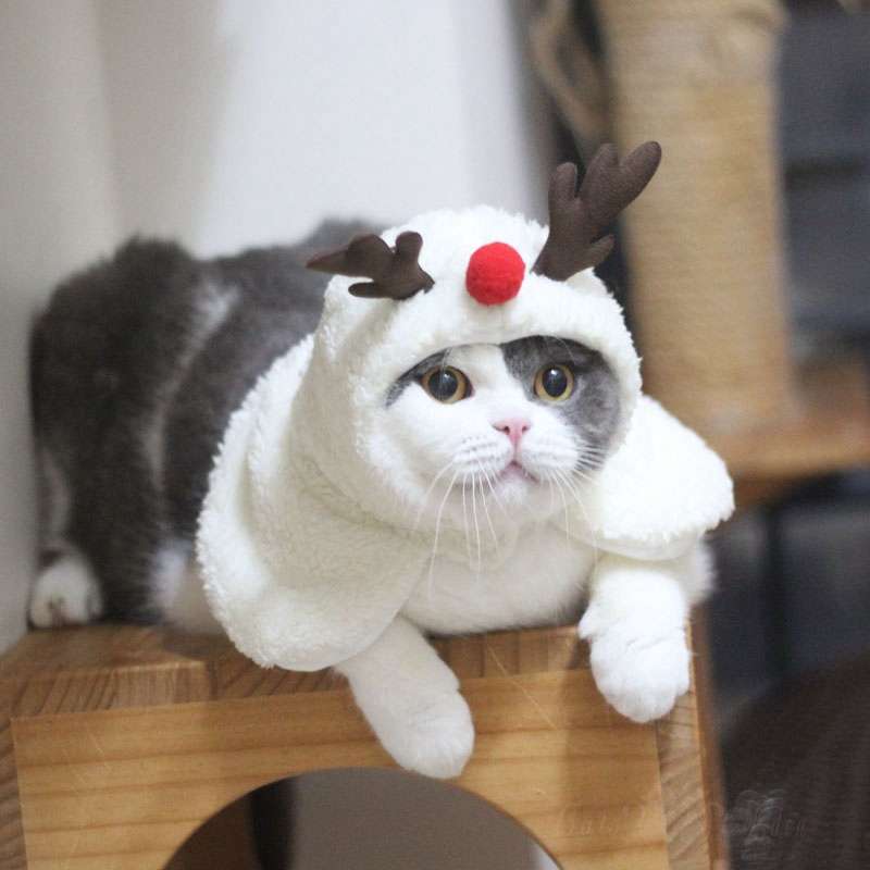 猫服  コスプレ | もふもふトナカイ猫ちゃんコスプレ帽子