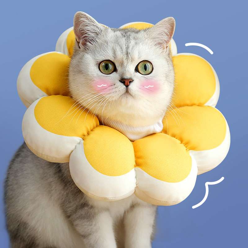 猫服 猫 エリザベスカラー | ふわふわお花型エリザベスカラー